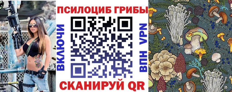 Галлюциногенные грибы Psilocybine cubensis  Купить где  Котово 